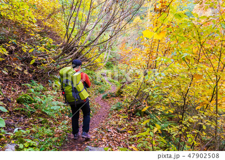 下ノ廊下　登山者 47902508