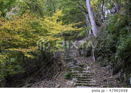 奥多摩　登山道　秋景 47902698