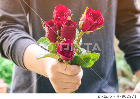 Man holding red roses in the garden. 47902871
