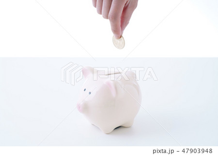 貯蓄 47903948
