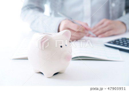 貯蓄 47903951