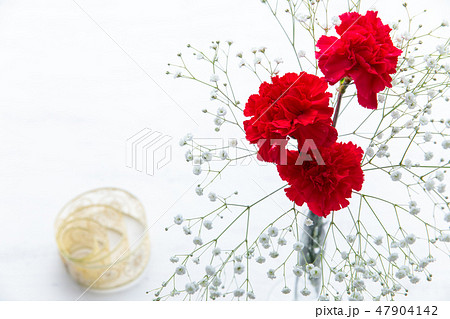 赤いカーネーション　プレゼント・母の日・花束 47904142