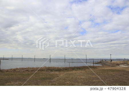 冬の江川海岸にて 冬の江川海岸にて 47904328