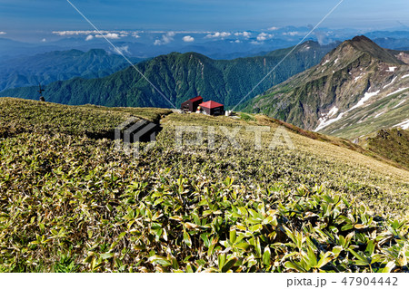 谷川岳 肩の小屋とはるかに富士山を望むの写真素材