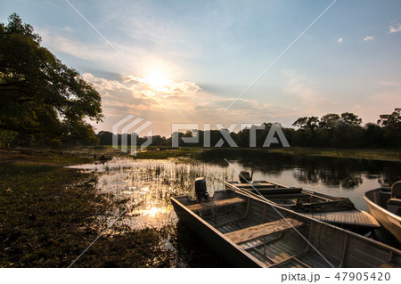 ボツワナ ボートサファリ マウンの夕焼け ボツワナ ボートサファリ マウンの夕焼け 47905420