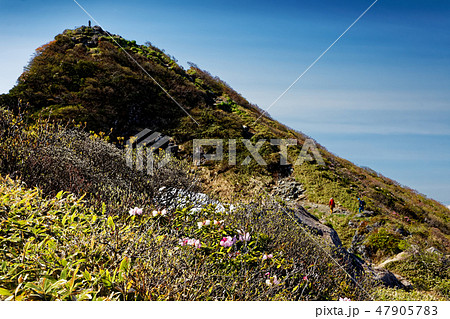 谷川岳・トマの耳と稜線を行くと登山者 47905783