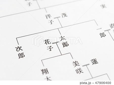 家系図 配偶者 夫婦 家系図 配偶者 夫婦 47906400