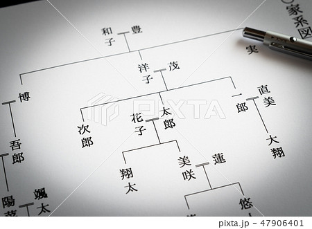 家系図　祖先　親戚　ルーツ 47906401