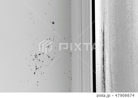 The damp is attacking the wall. mold on window The damp is attacking the wall. mold on window 47906674