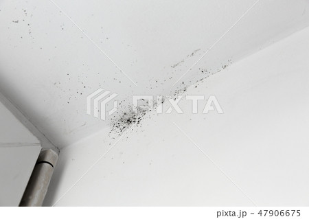mold in the corner of the window on a white wall mold in the corner of the window on a white wall 47906675