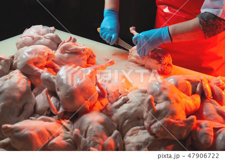 chicken meat production 47906722