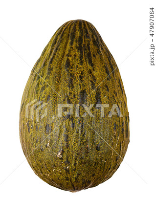 whole melon isolated 47907084