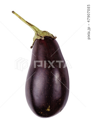 ripe eggplant isolated 47907085