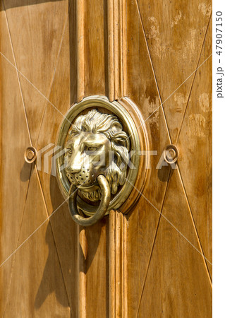 doorknob lion doorknob lion 47907150