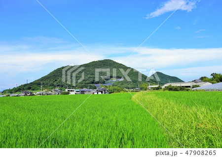 田園風景 田園風景 47908265
