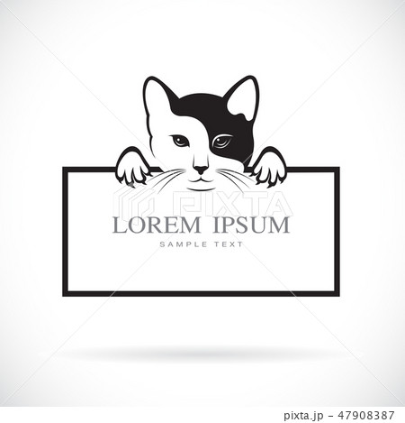 Vector of black cat head with frame space. Pet. 47908387