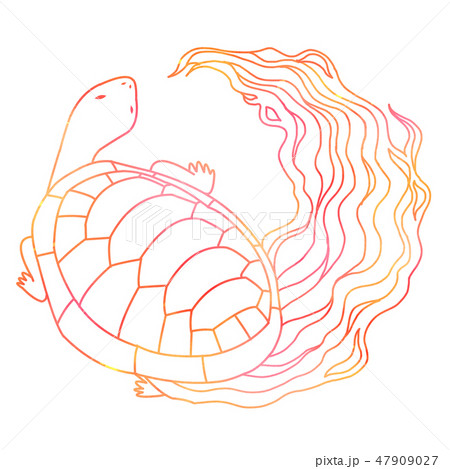 亀のイラスト素材