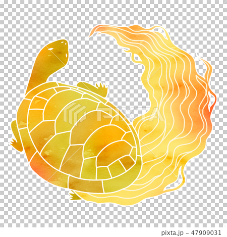 亀のイラスト素材