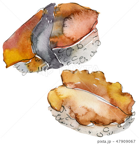 Watercolor sushi set of beautiful tasty japanese food illustration. Hand drawn objects isolated on Watercolor sushi set of beautiful tasty japanese food illustration. Hand drawn objects isolated on 47909067