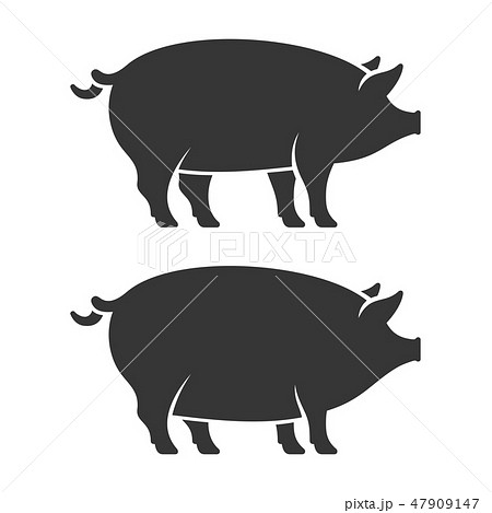 Pig Icon Set. Two Fat Pork. Vector 47909147