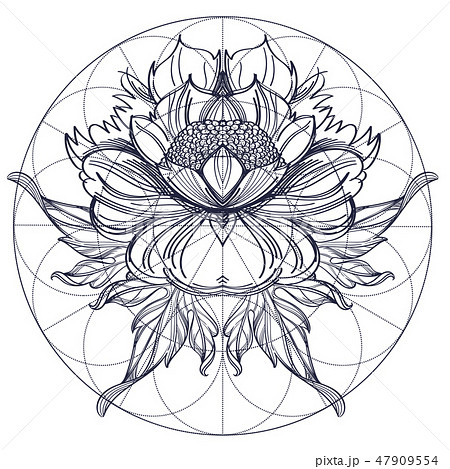 Elegant element of a stylized flower with smooth lines. Stylized floral element for design. Elegant element of a stylized flower with smooth lines. Stylized floral element for design. 47909554