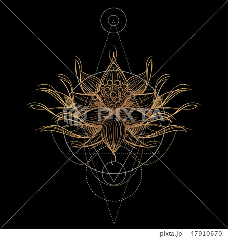 Elegant golden element of a stylized flower with smooth lines. Decorative floral pattern. Elegant golden element of a stylized flower with smooth lines. Decorative floral pattern. 47910670