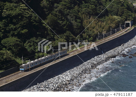 海岸沿いを行く伊豆急8000系 47911187