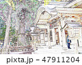 高千穂神社 47911204