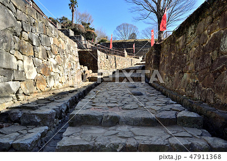 群馬県太田市 日本百名城 金山城跡 大手虎口 47911368