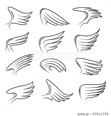 Set of hand drawn bird wings vector 47911759