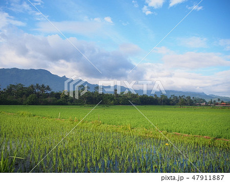海外の田園風景 47911887