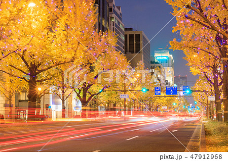 大阪_御堂筋光の饗宴 47912968