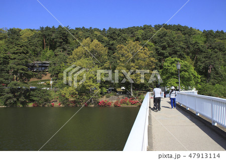 新緑の臥竜公園にて（須坂市） 47913114