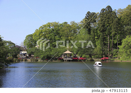 新緑の臥竜公園にて（須坂市） 47913115