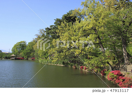 新緑の臥竜公園にて(須坂市) 新緑の臥竜公園にて(須坂市) 47913117