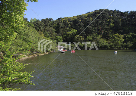 新緑の臥竜公園にて（須坂市） 47913118