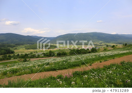 初夏の農村風景・芦別市 初夏の農村風景・芦別市 47913289
