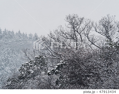 雪の日の里山 冬の里山の雪景色 雪の日の里山 冬の里山の雪景色 47913434