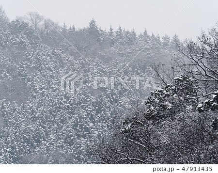 雪の日の里山　冬の里山の雪景色 47913435