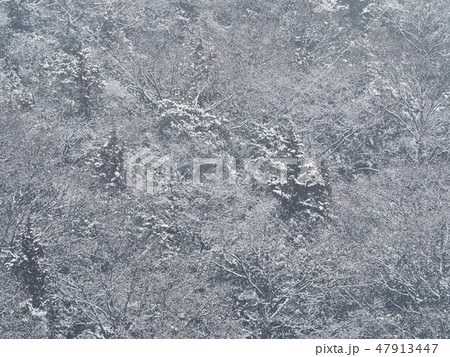 雪の日の里山 冬の里山の雪景色 雪の日の里山 冬の里山の雪景色 47913447