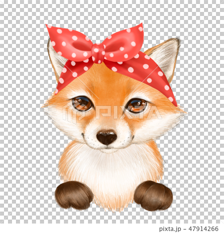 Cute fox wearing bandana 47914266