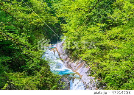 日本の滝百選：七ツ釜五段の滝【山梨県西沢渓谷】 47914558