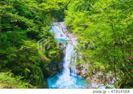 日本の滝百選:七ツ釜五段の滝【山梨県西沢渓谷】 日本の滝百選:七ツ釜五段の滝【山梨県西沢渓谷】 47914568