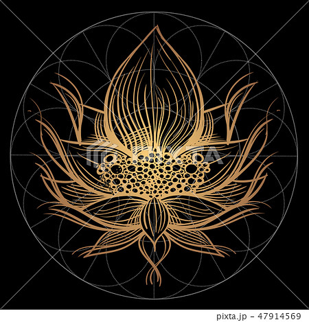 Elegant golden element of a stylized flower with smooth lines. Decorative floral pattern. Elegant golden element of a stylized flower with smooth lines. Decorative floral pattern. 47914569
