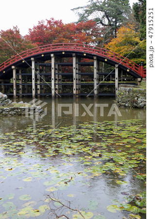 秋の丹生都比売神社 47915251