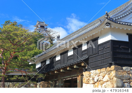 【高知県】晴天下の高知城天守閣と追手門 47916348