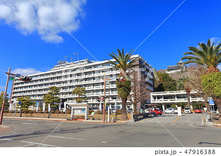 【高知県】晴天下の高知県庁と高知城 47916388