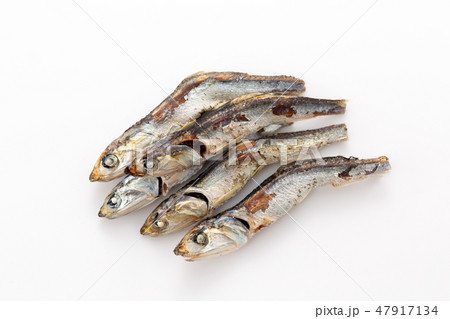 煮干し 47917134