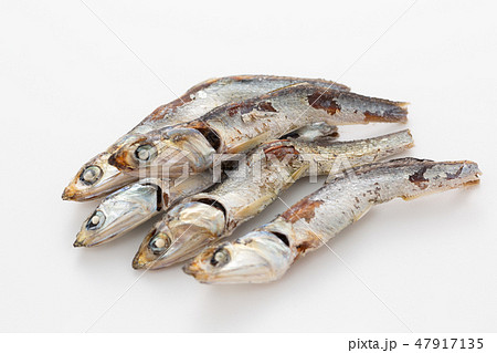 煮干し 煮干し 47917135
