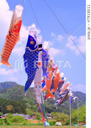 春日れんげまつり(篠山市春日町)空に泳ぐ鯉のぼり 春日れんげまつり(篠山市春日町)空に泳ぐ鯉のぼり 47918011